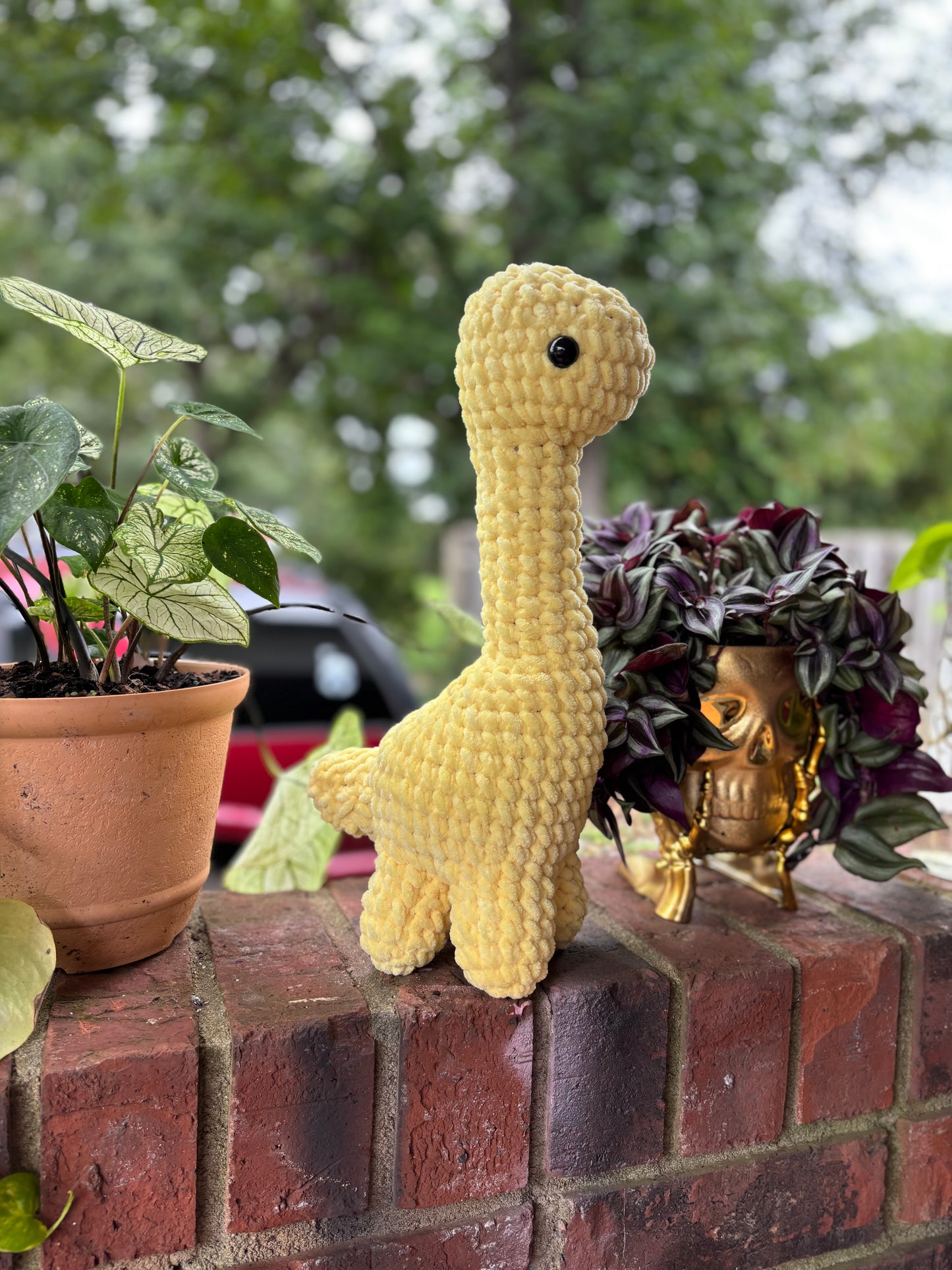 Dino
