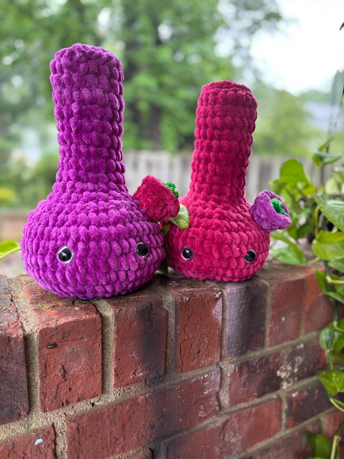 berry bongs