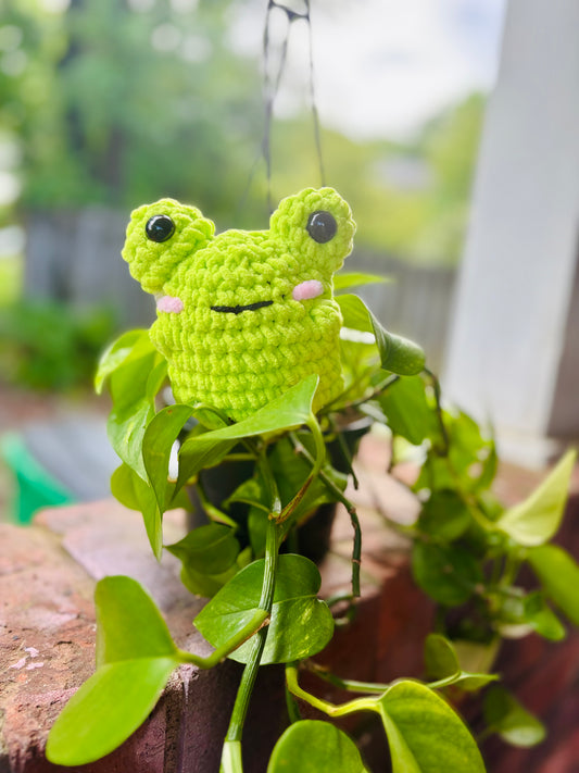 Frogs